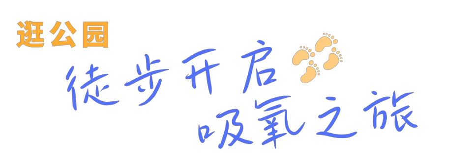 哪里能找到智能篮球训练的应用程序_1